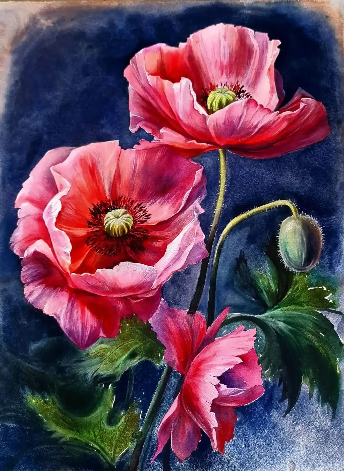 Featured image of Red Poppies