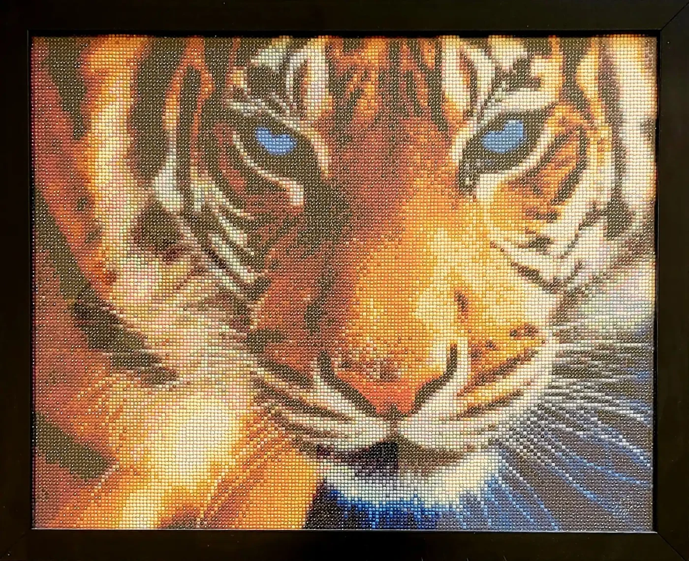 Tiger - Artwork