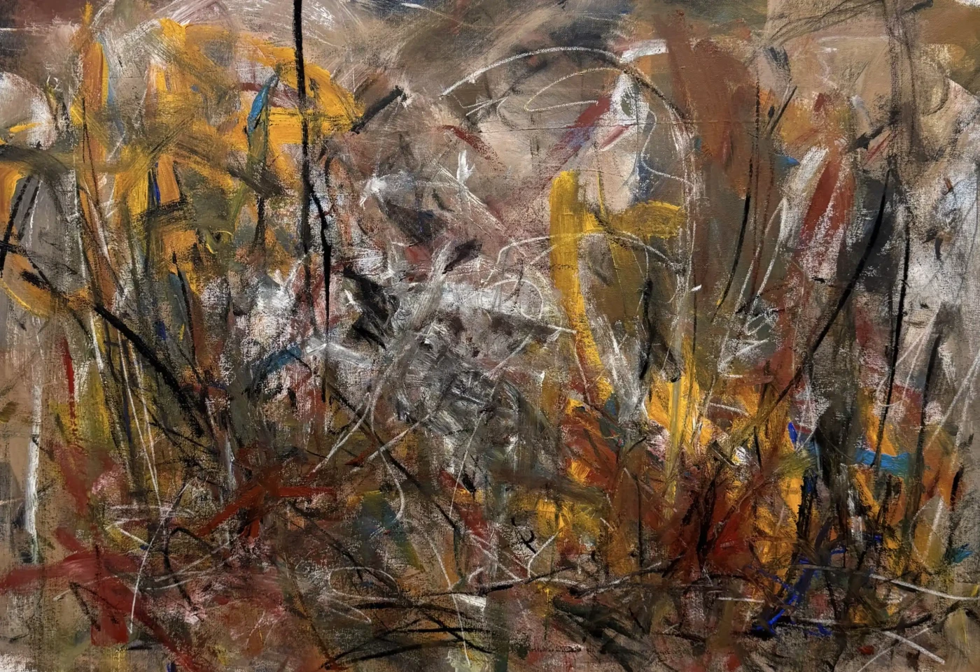 Featured image of In The Backyard - Artwork