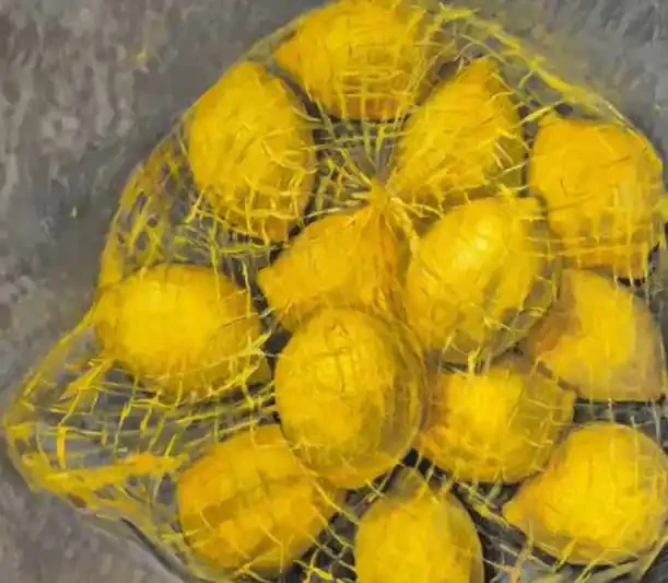 Lemons in a Net