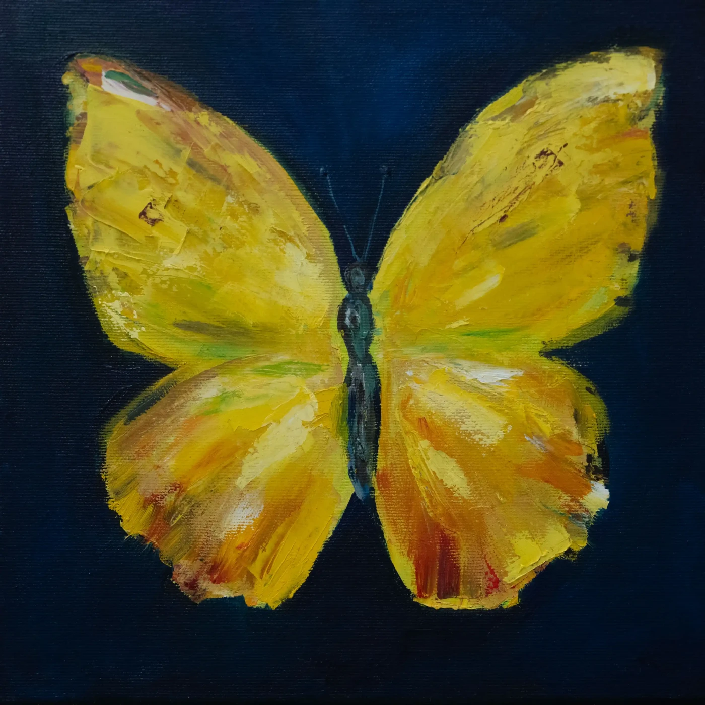 Featured image of Yellow Butterfly