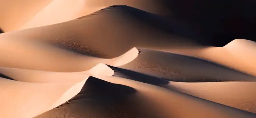 DESERT WAVES