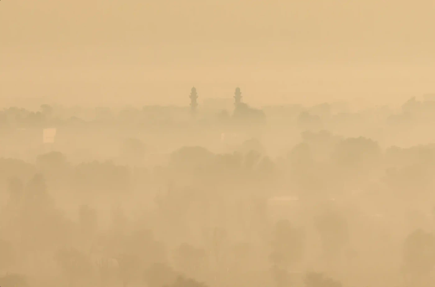Featured image of Mist II - الضباب الثاني