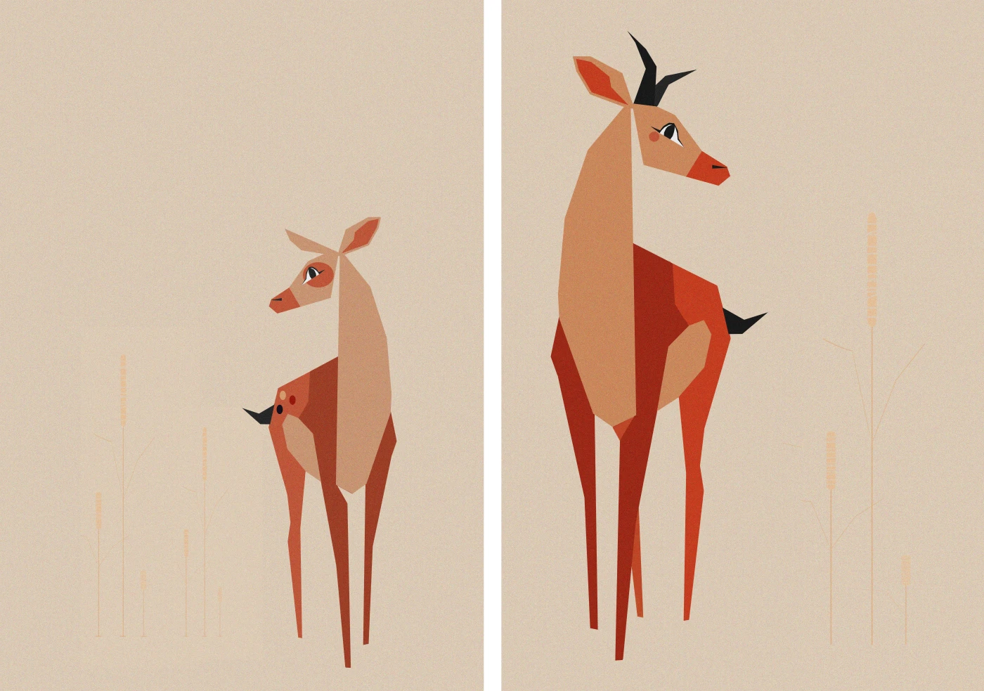 Tender Deers