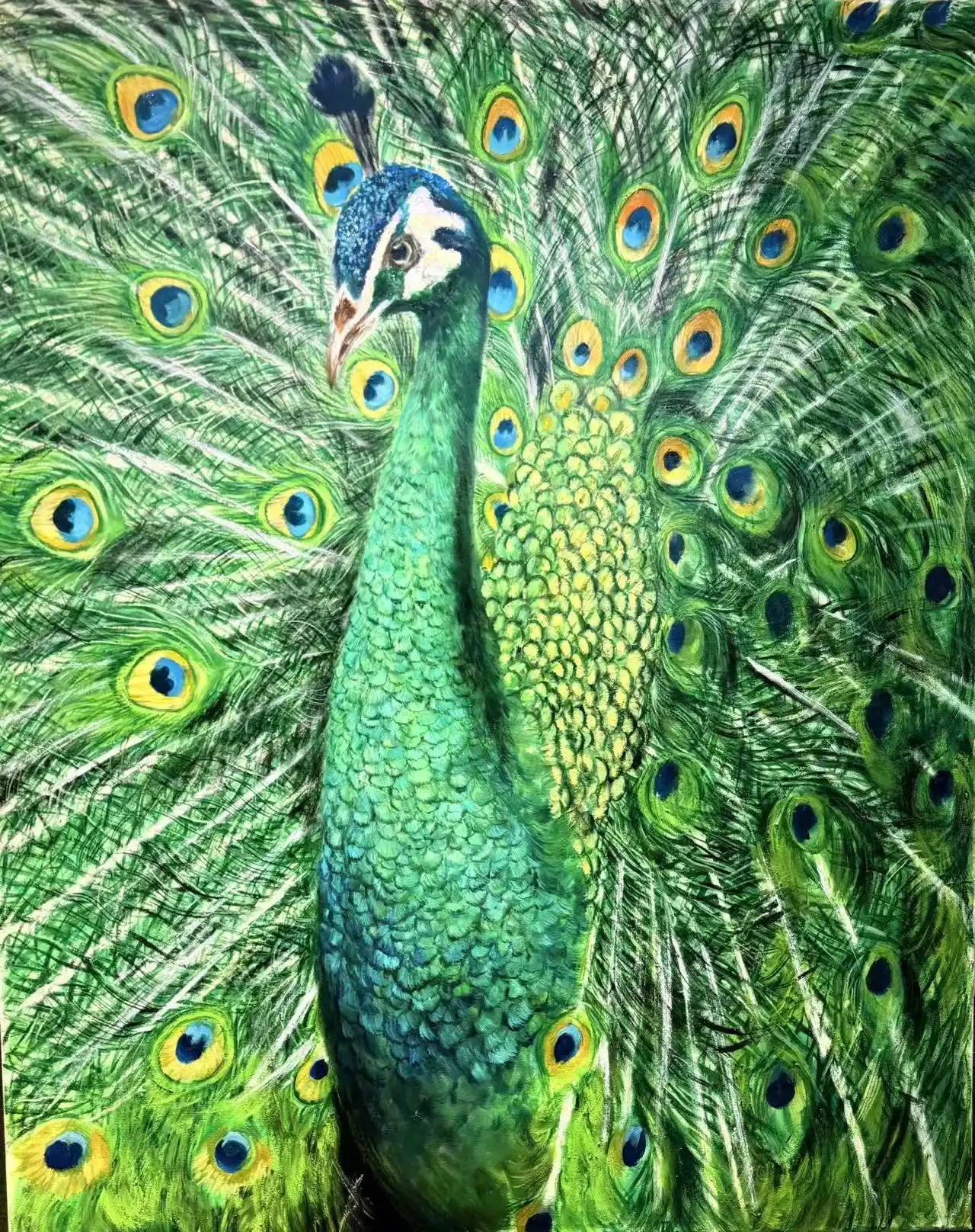 Featured image of Green Peacock