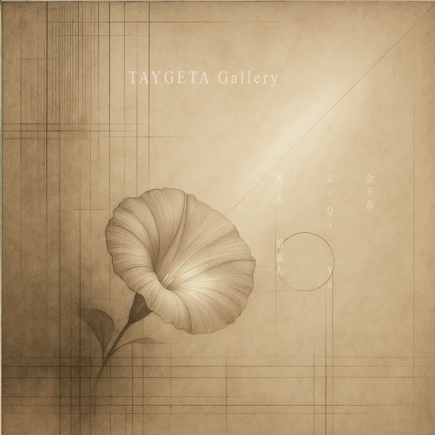 gallery best work