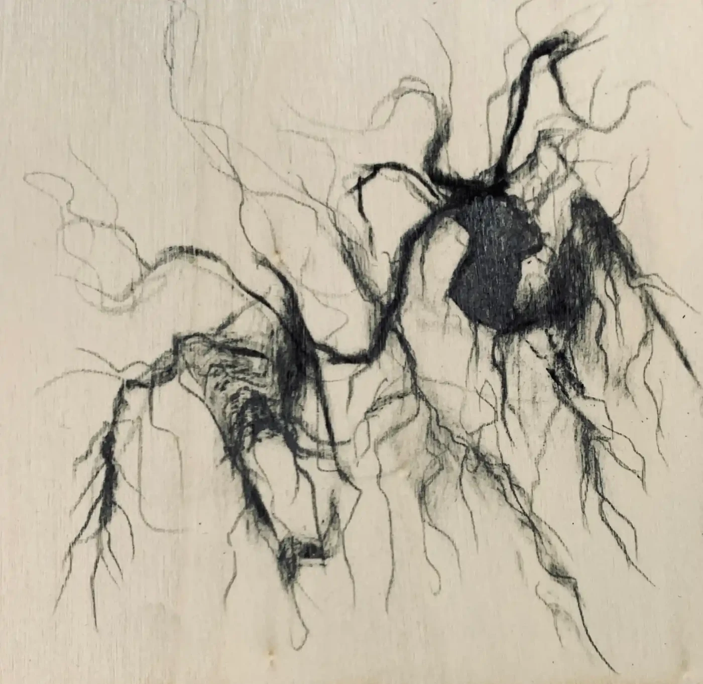Elizabeth Khoury