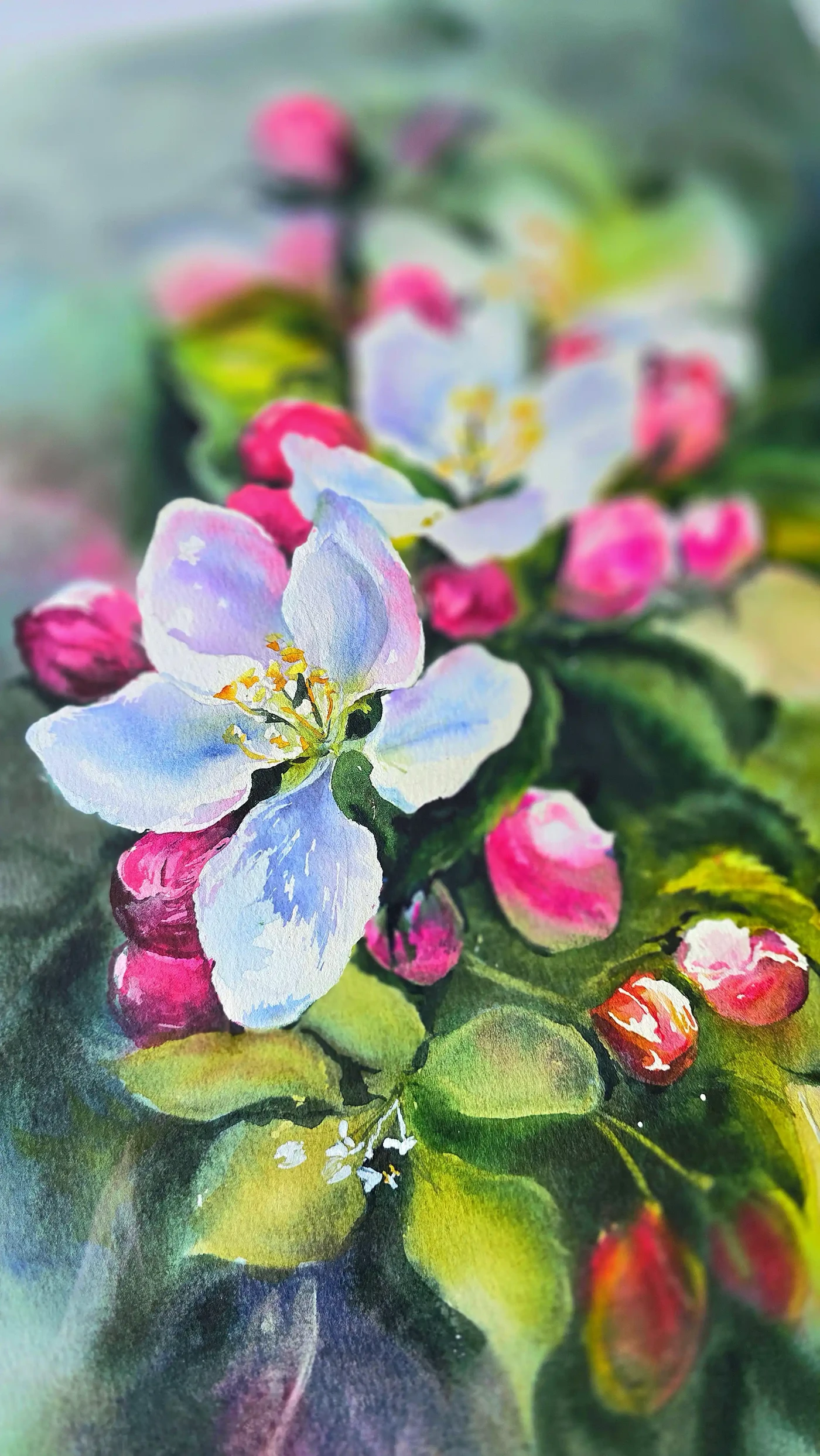 "Flowers"